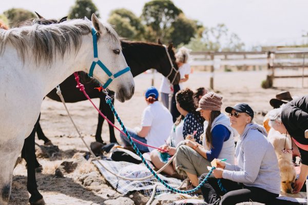 Girls and horses